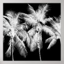 Search for palm tree posters Paradise