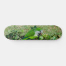 Search for bushes skateboards Nature