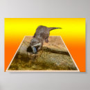 Search for animals eating posters Wildlife