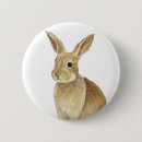 Search for rabbitt Bunny