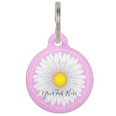 Search for daisy pet tags pink