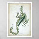 Search for astrology posters Birthday