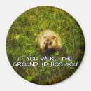 Search for hogs magnets Humour
