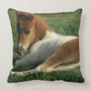 Recherche de poulain coussins Plomb langrish