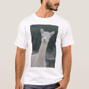 Search for wink clothing Animal