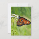 Search for butterfly art note cards Monarch