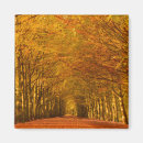 Search for forest path magnets Nature