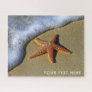 Search for starfish puzzles Beach