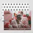 Search for from the dog christmas cards Cute