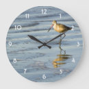 Recherche de oiseaux aquatiques horloges Nature