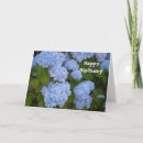 Search for hydrangeas birthday cards Purple