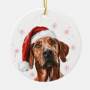 Search for rhodesian ridgeback ornaments Cute
