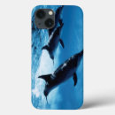 Search for dolphin picture electronics Colour image