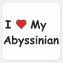 Search for abyssinian stickers Pet