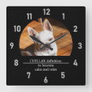 Recherche de chihuahua clocks Drôle