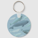 Recherche de beluga porteclés Nature