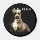 Search for perro home living Chien