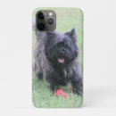 Search for cairns iphone cases Cairn terrier