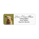 Search for dog breed return address labels Animals
