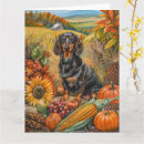 Search for dachshund thanksgiving cards Pumpkin