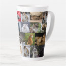 Recherche de kitties tasses Animaux domestiques