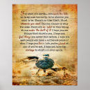 Recherche de tortues posters Pour elle