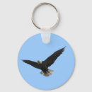 Search for bald eagle keychains Flying