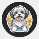 Search for havanese dog stickers Pet