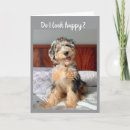 Search for bernedoodle cards Friend
