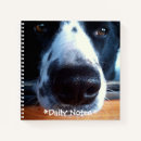Search for collie notebooks Pets