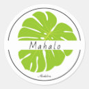 Search for green plant stickers Monstera