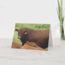 Search for holy cow birthday cards Black