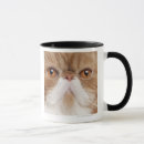Search for exotics mugs Cat
