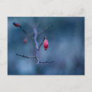 Recherche de froid cartes postales Bleu