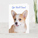 Search for dog get well cards Operation