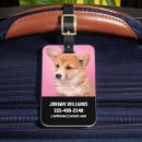 Recherche de corgi luggage tags Chiot