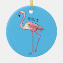 Search for flamingos ornaments Flamingoes
