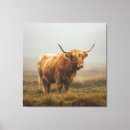 Search for highland cow canvas prints Rustic