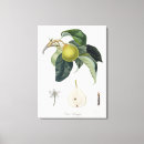 Search for etching art Botanical