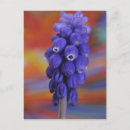 Recherche de comestible cartes postales Bleu