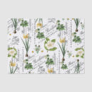 Search for daffodil tissue paper Floral