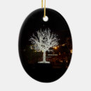 Search for silver oval ornaments Lights
