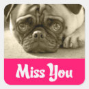 Search for hello greeting stickers Puppies