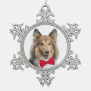 Search for sheltie ornaments Pet