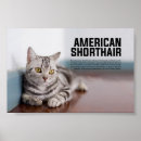 Recherche de breed posters Pet
