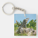 Search for iguanas keychains Nature