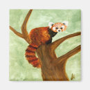 Recherche de panda rouge magnets Pandas
