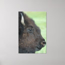 Search for wildlife canvas prints Photography