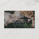 Search for pet photography business cards Veterinary