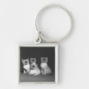 Search for looking up keychains Horizontal